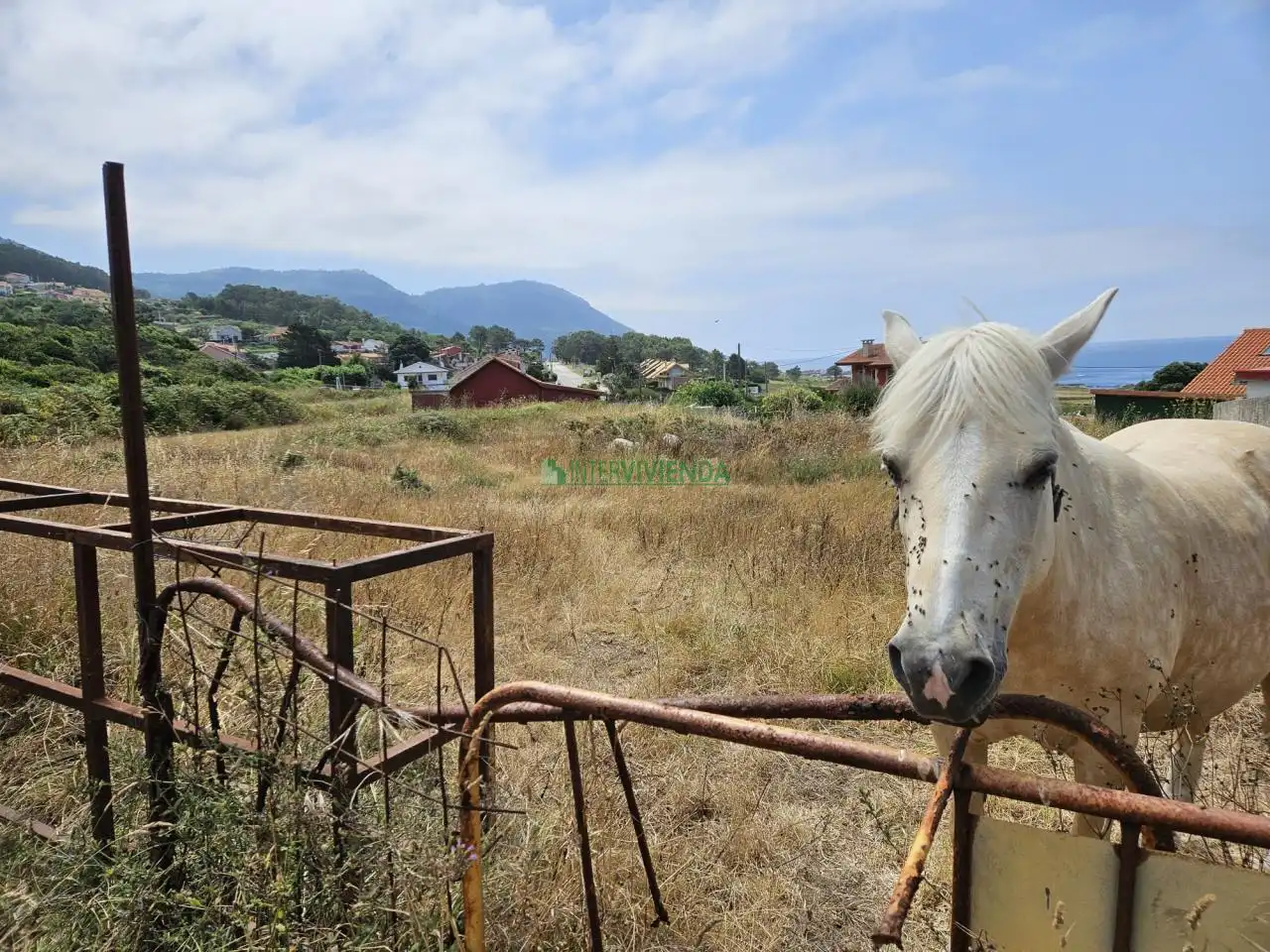Terrenys i solars en venda a Oia, imagen 9