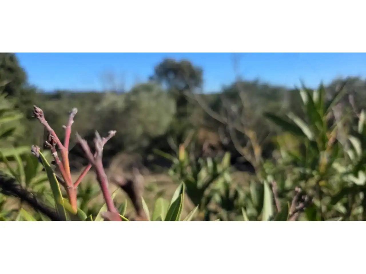 Jardín de Casa o chalet en venta en Lliçà d'Amunt con Aire acondicionado, Jardín privado y Terraza