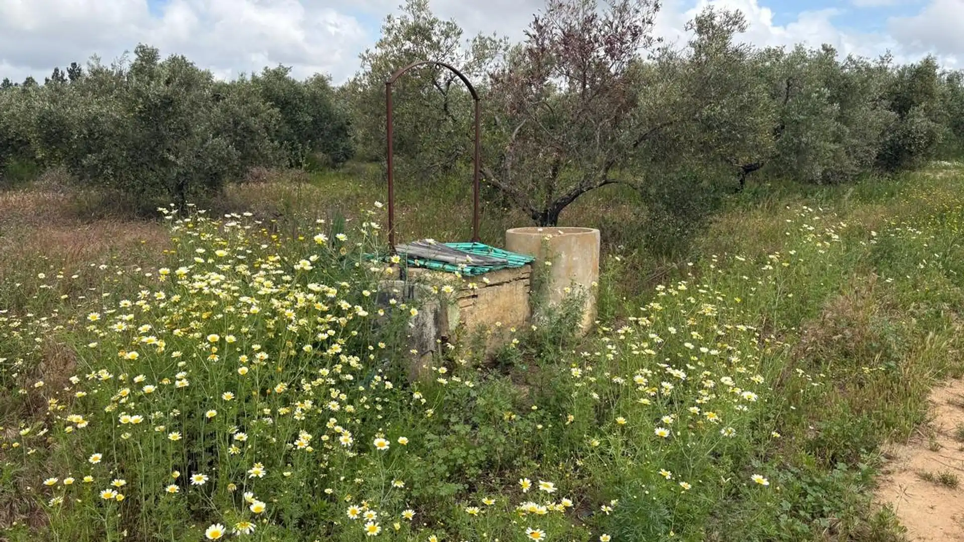 Finca rústica en venta en Bollullos Par del Condado