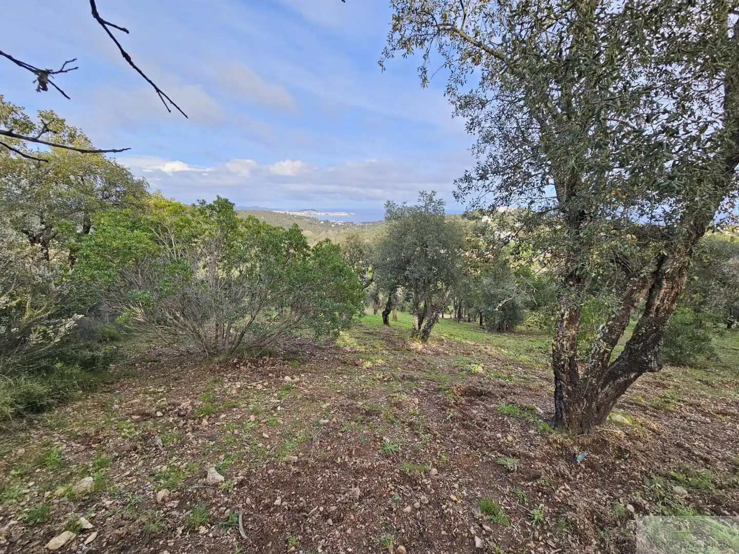 Terreno residenziale in vendita a Platja d'Aro, imagen 6