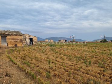 Terrenos y solares en venta en Muro