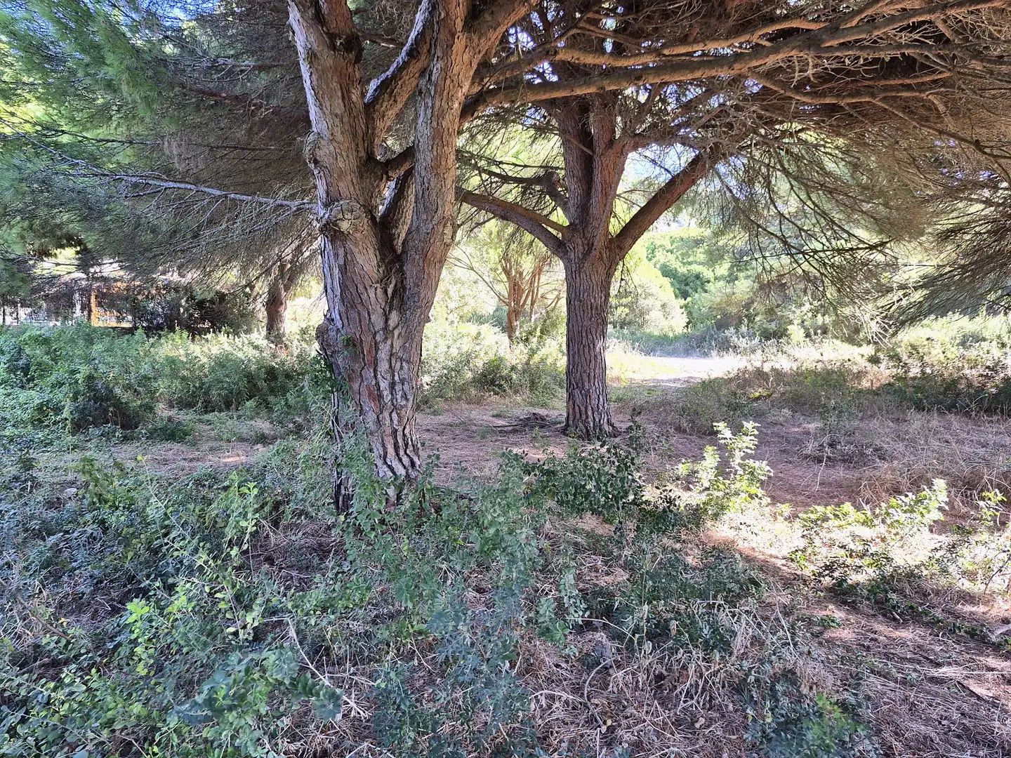 Terrenys i solars en venda a Los Caños de Meca, imagen 4