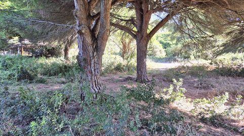 Foto 4 de Residencial en venta en Los Caños de Meca, Barbate