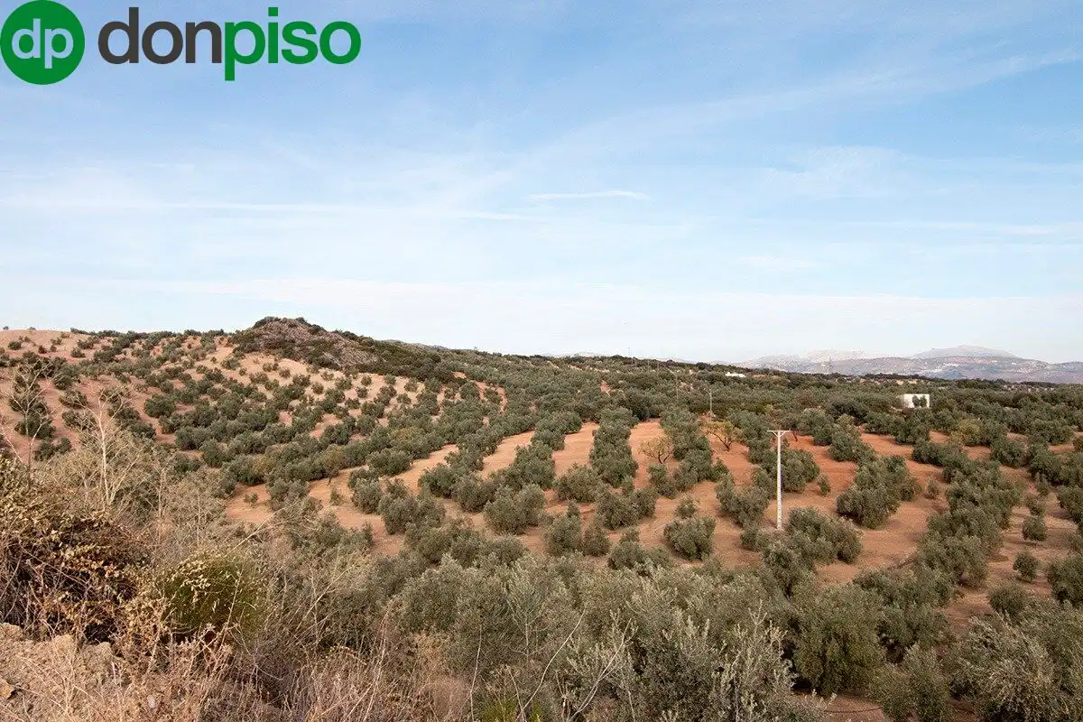 Casa rústica en venda a CORTIJO LA BARRAGANA, imagen 35
