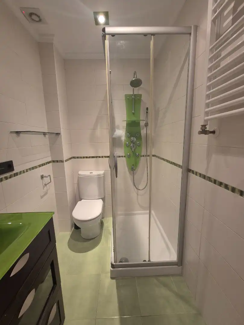 Badezimmer von Wohnungen zur Miete in Usurbil mit Heizung, Parkett und Möbliert