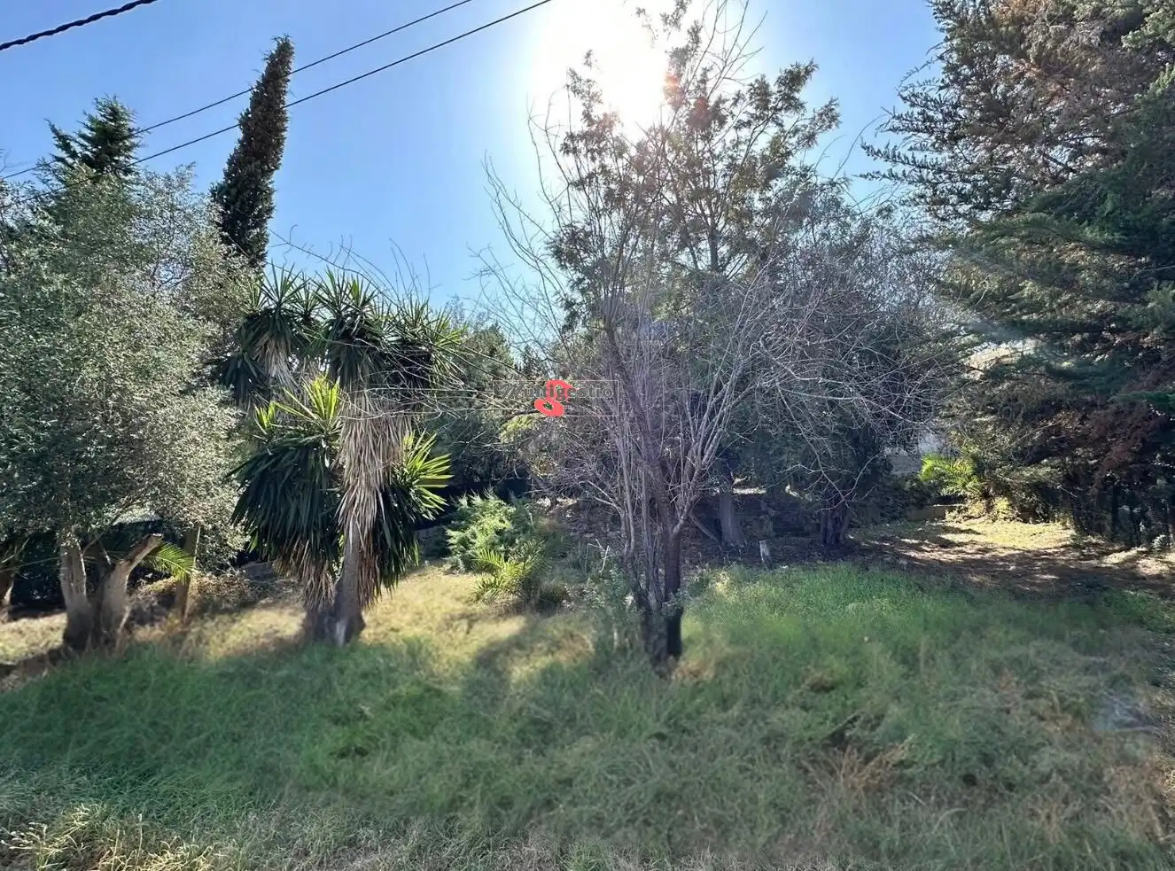 Wohnbaugrundstück zum Verkauf in Cabanyes - Mas Ambrós - Mas Pallí, imagen 15