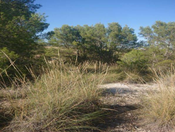 Terreno en Venta en Carretera la Parroquia en Zarcilla de Ramos