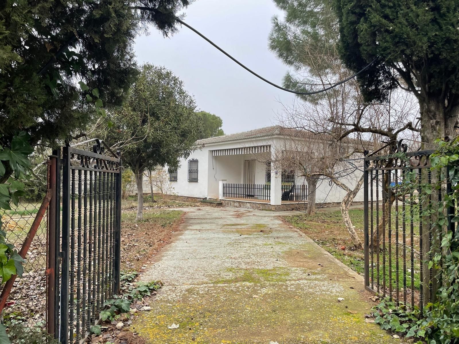 Exterior view of Country house for sale in Ciudad Real Capital