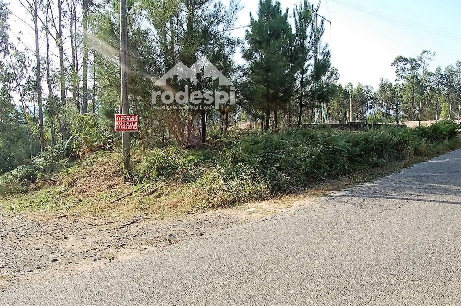 Rural land for sale in Salvaterra de Miño, imagen 6