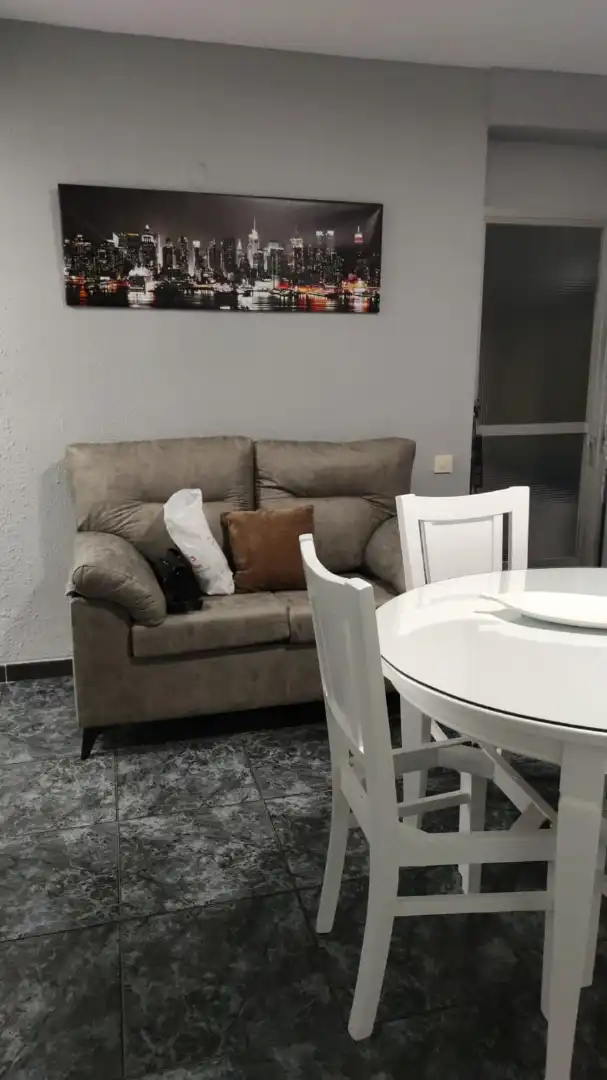 Sala de estar de Piso de alquiler en Jaén con Amueblado
