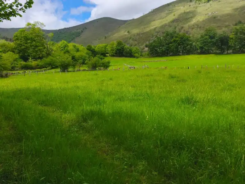 Rural land for sale in Rionansa, imagen 2