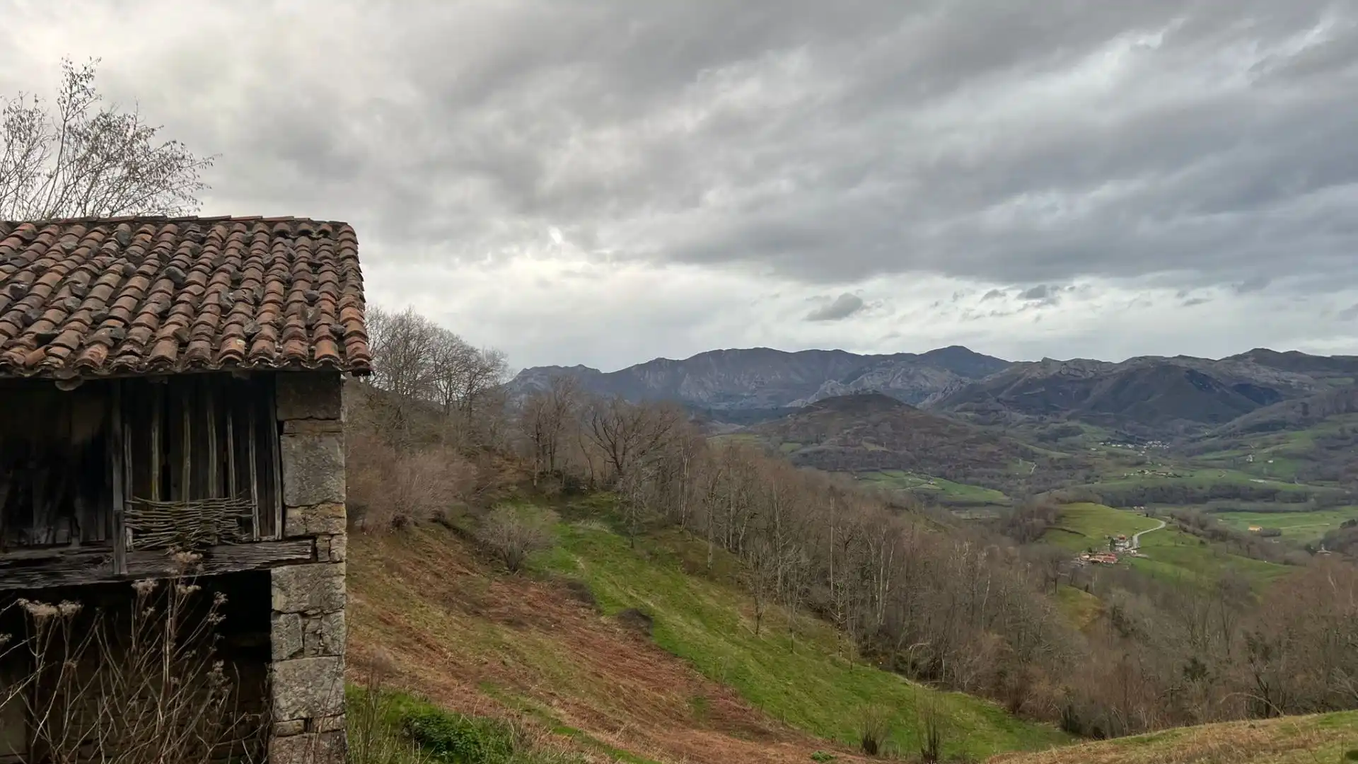 Terreno rustico in vendita a Cangas de Onís, imagen 13