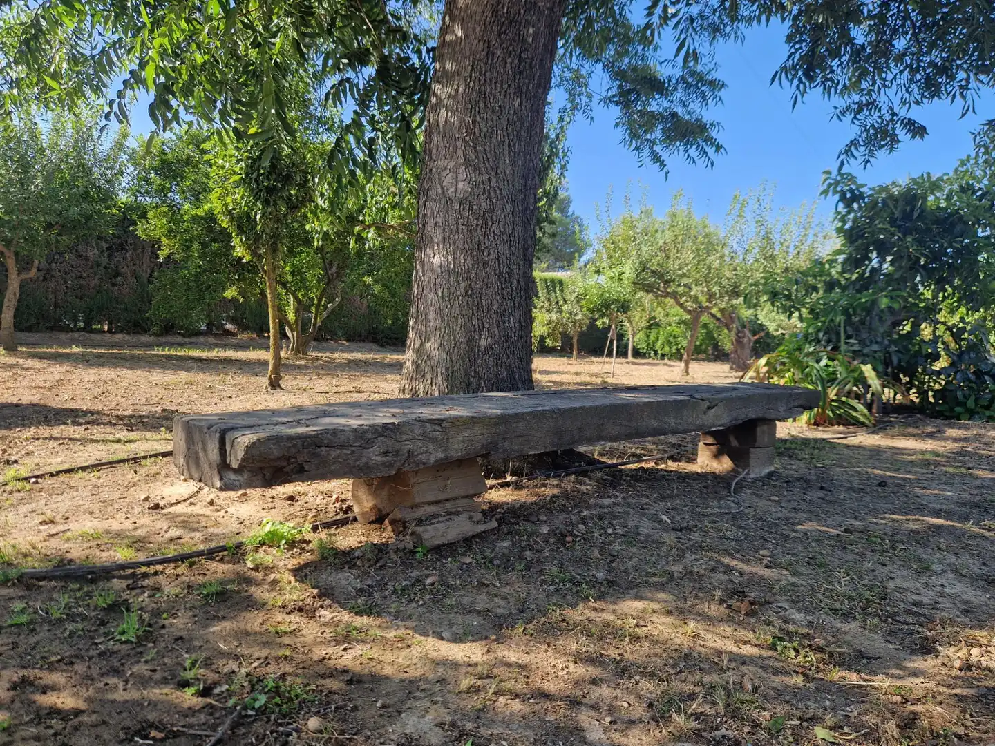 Jardín de Finca rústica en venta en Jerez de la Frontera con Aire acondicionado, Calefacción y Piscina