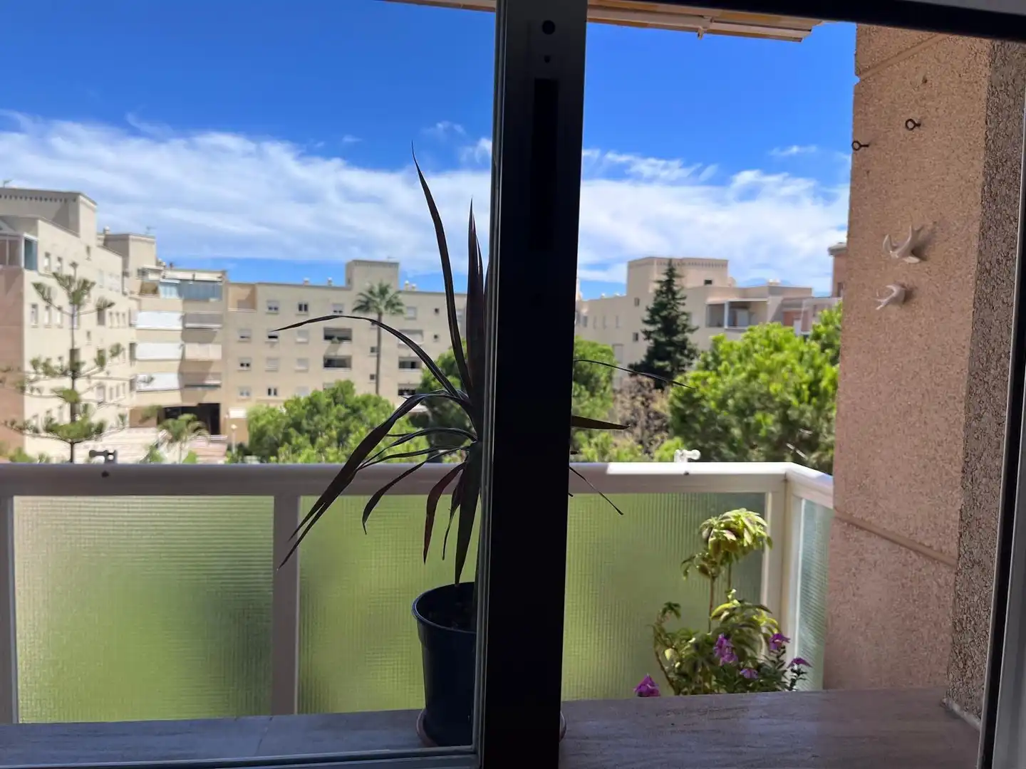 Terraza de Apartamento de alquiler en Málaga con Jardín privado, Terraza y Amueblado