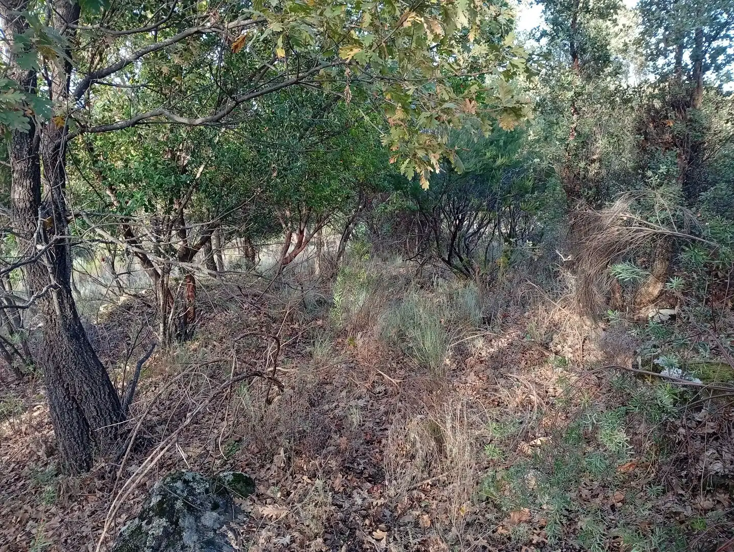 Terreni e lotti in vendita a Villanueva de la Vera, imagen 27