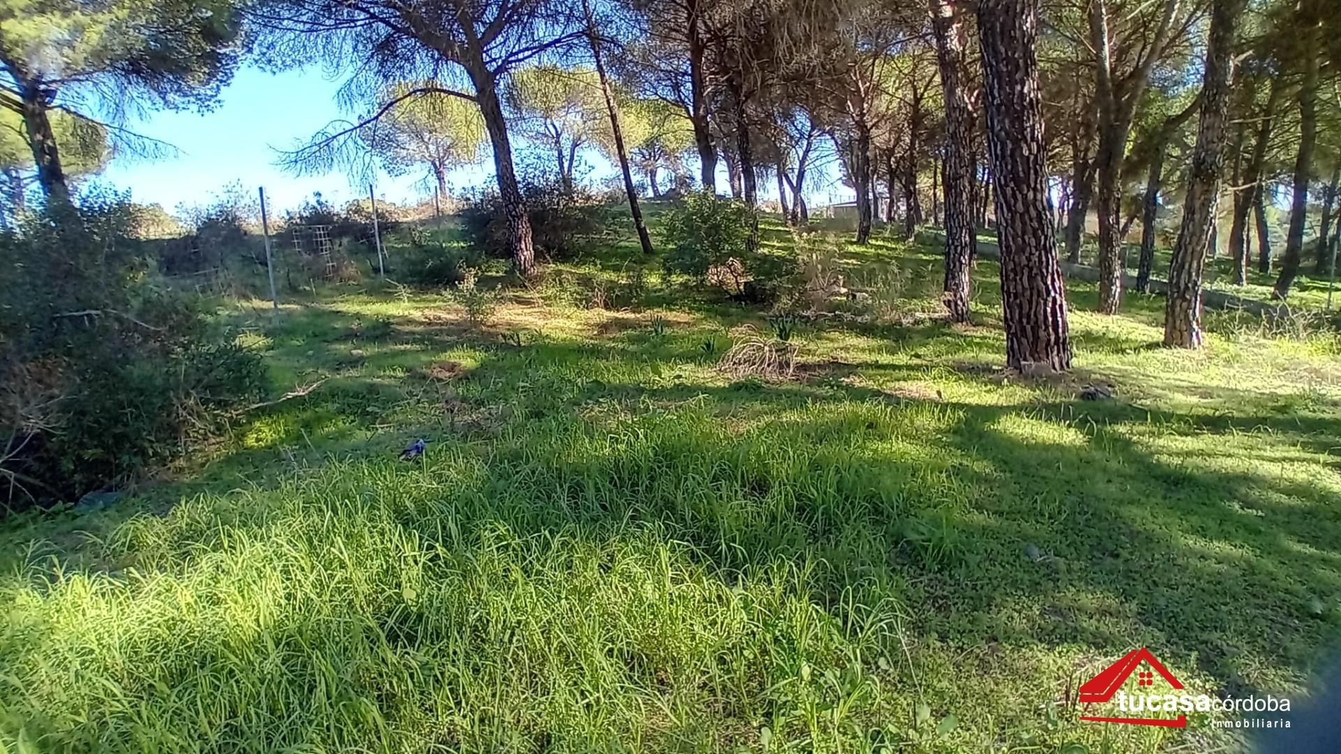 Residential for sale in  Córdoba Capital