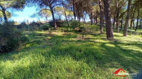 Photo 2 of Residential for sale in Alcolea,  Córdoba Capital