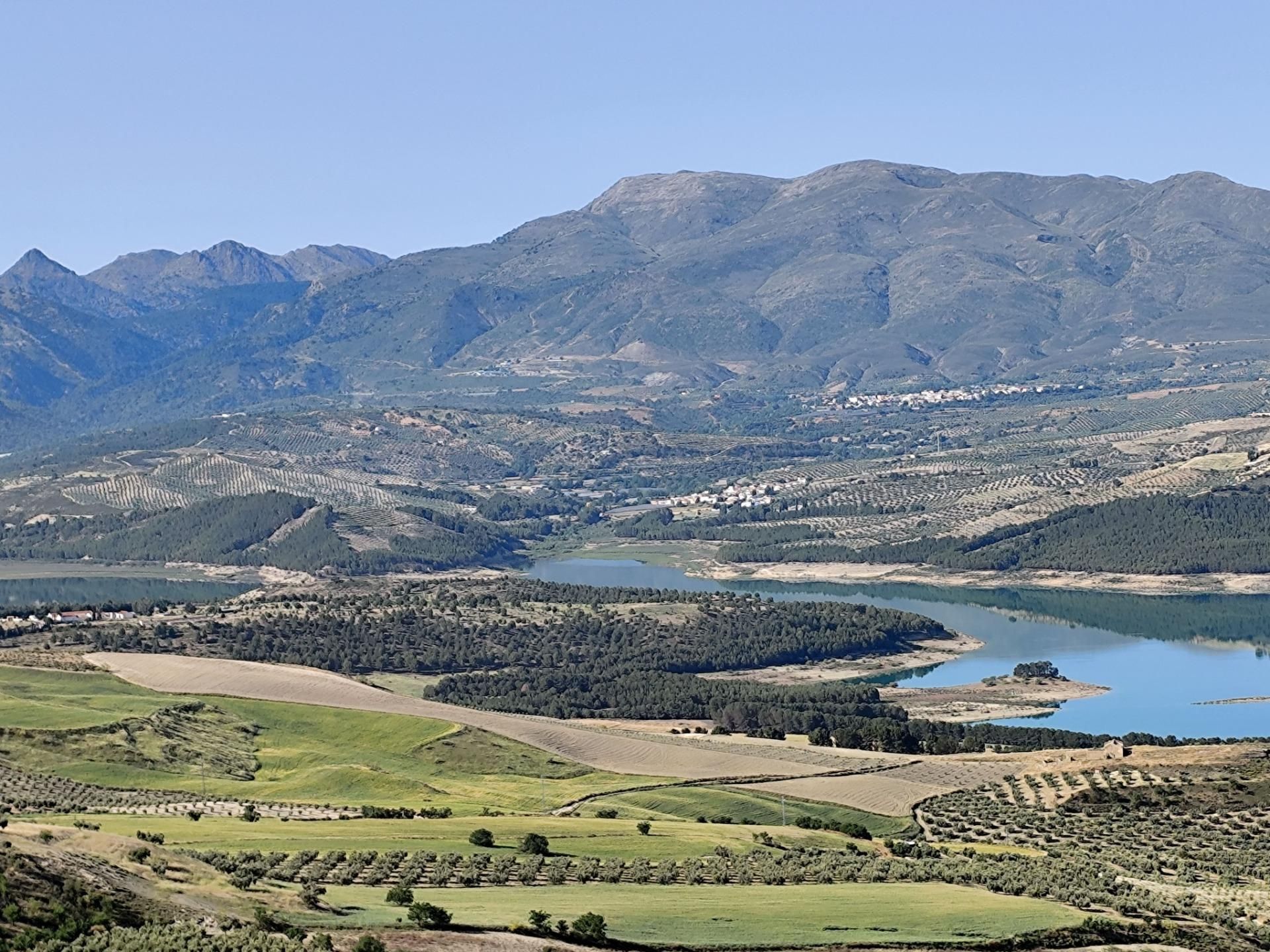 Land for sale in  Polígono 8 Parcela 166 CUERDA DE AGRON. ARENAS DE, Cacín