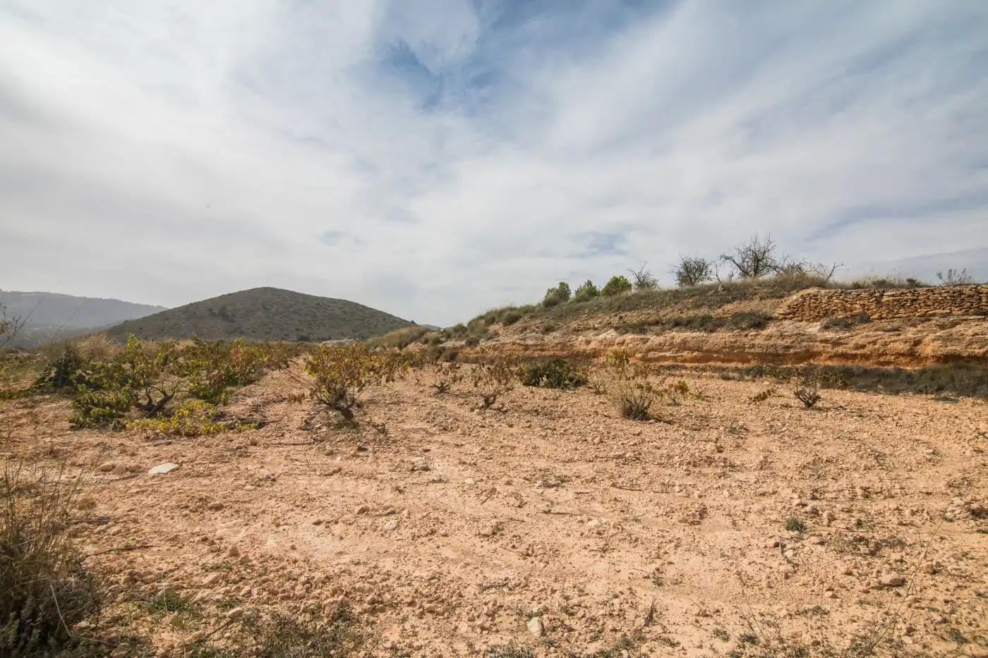 Grundstücke zum Verkauf in Algueña
