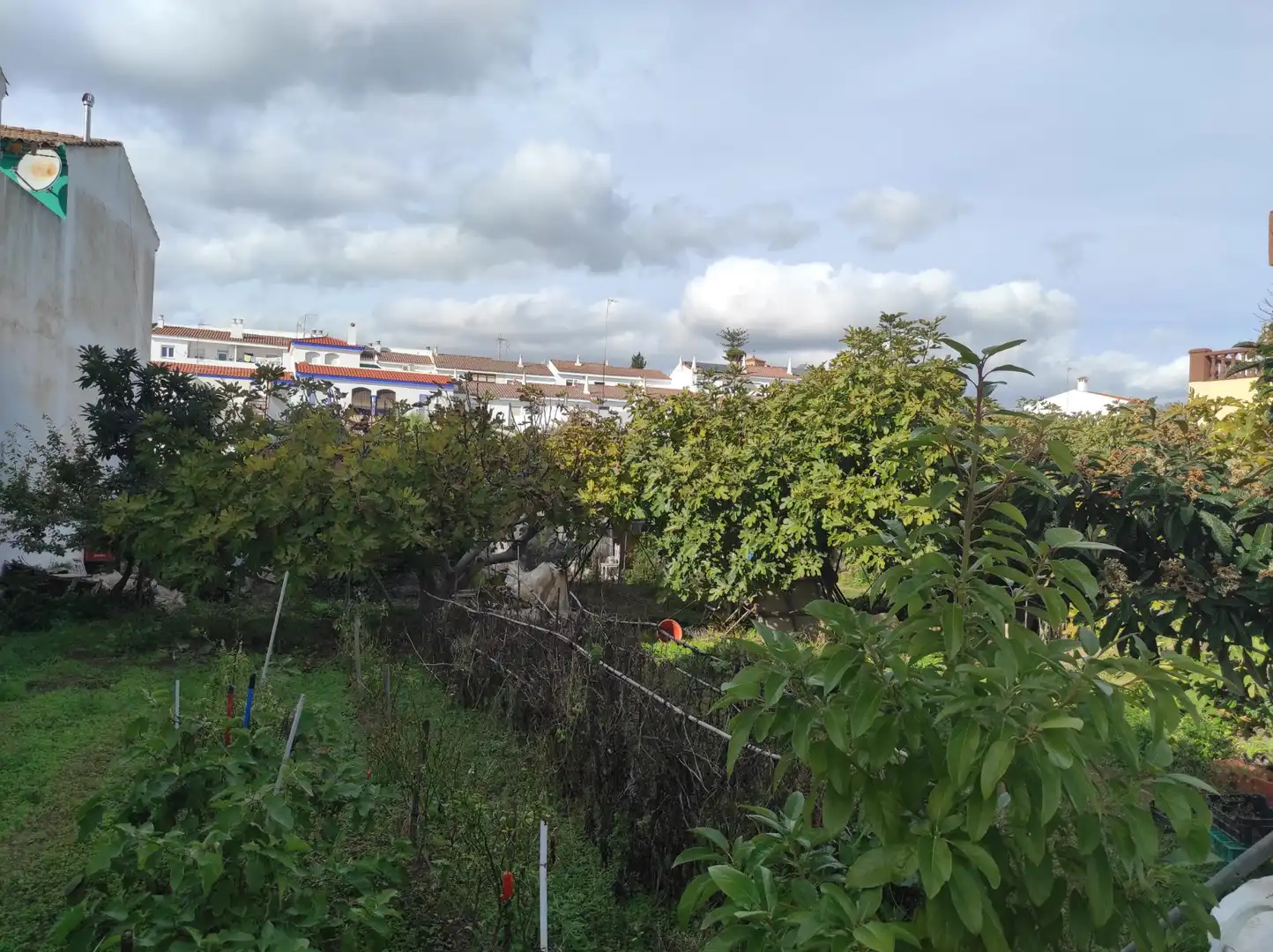 Terreni e lotti in vendita a Ayamonte ciudad, imagen 17