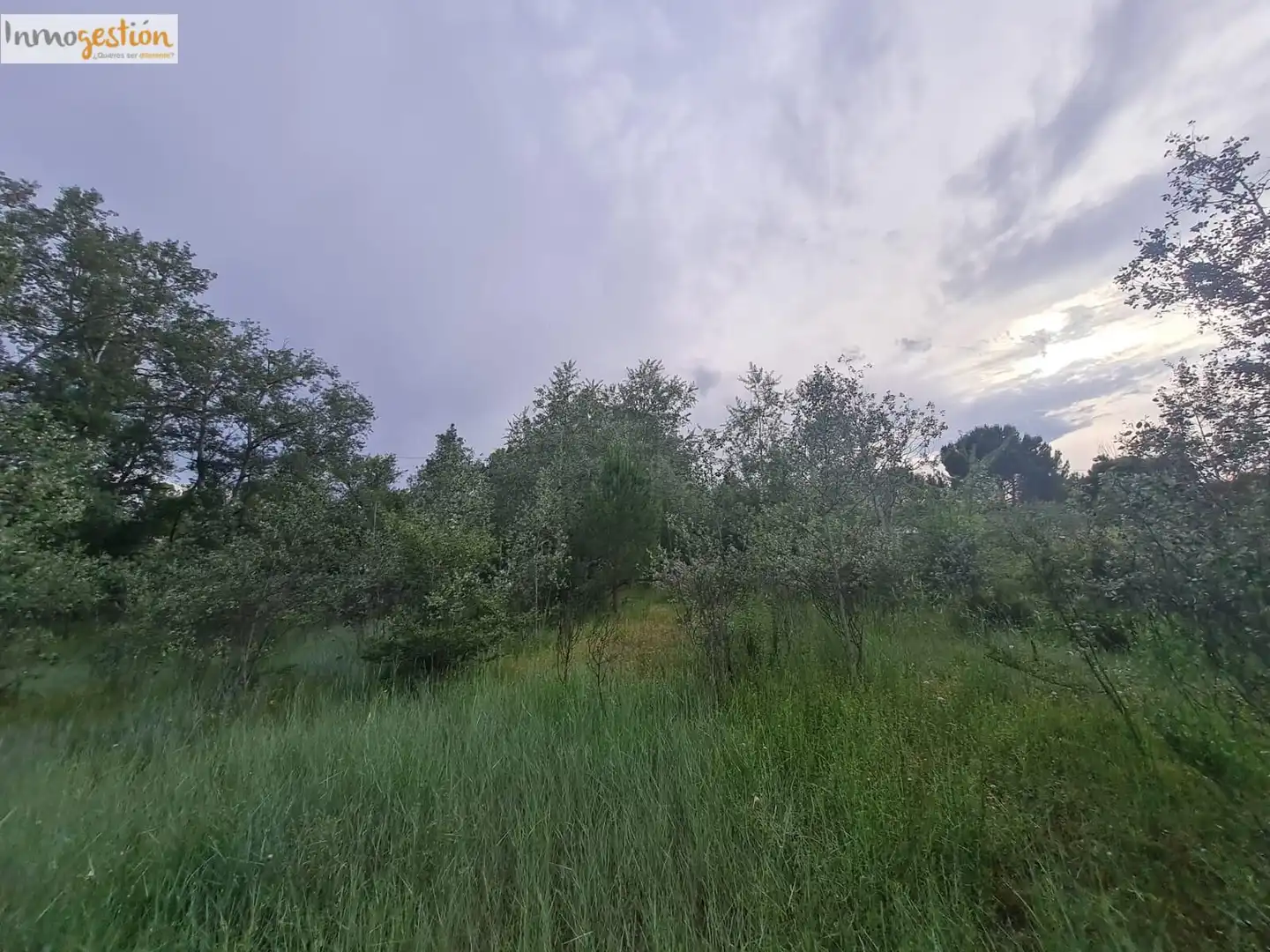 Terreno rustico in vendita a Tudela de Duero, imagen 7