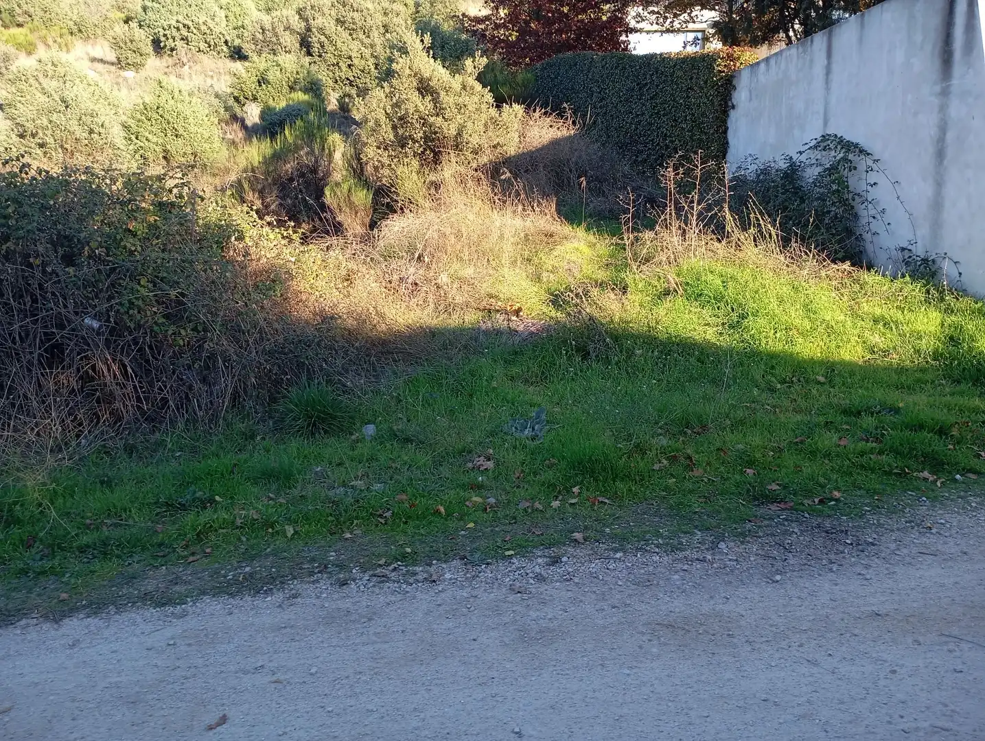 Residential zum Verkauf in Robledo de Chavela