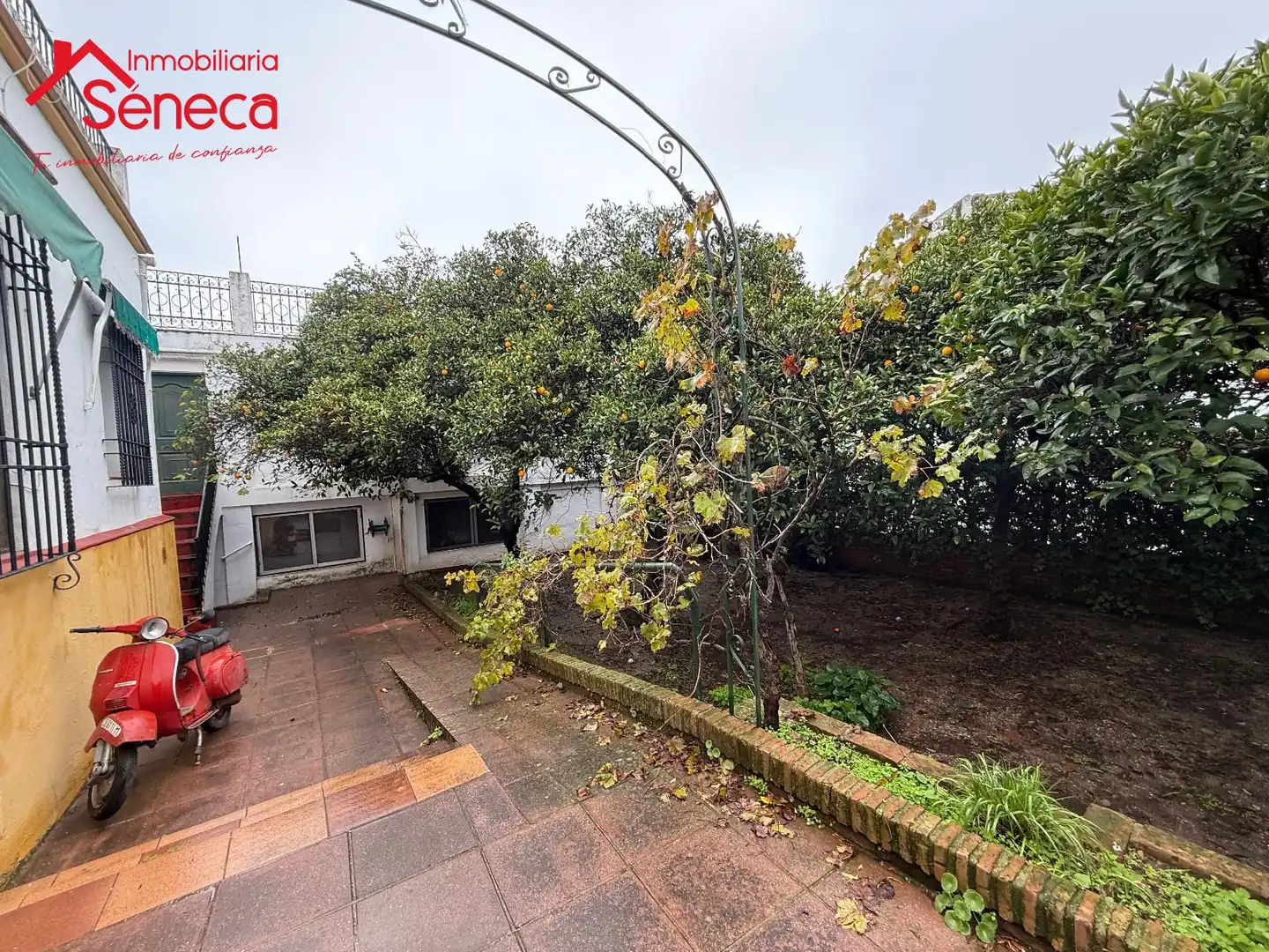 Garden of Houses for sale in Córdoba  with Swimming Pool