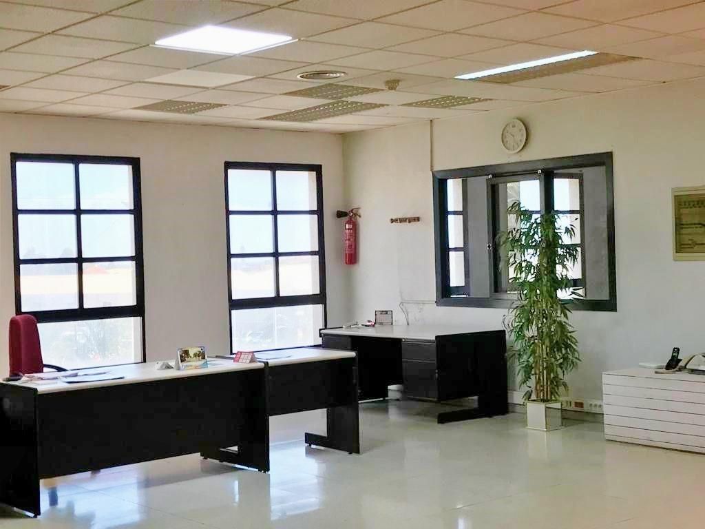 Office to rent in Elche / Elx