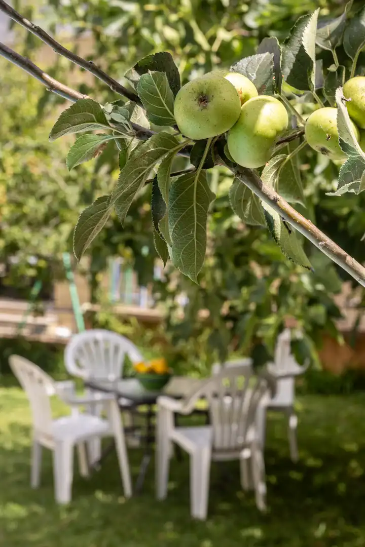 Jardí de Casa o xalet en venda en Alcúdia amb Jardí privat, Terrassa i Piscina