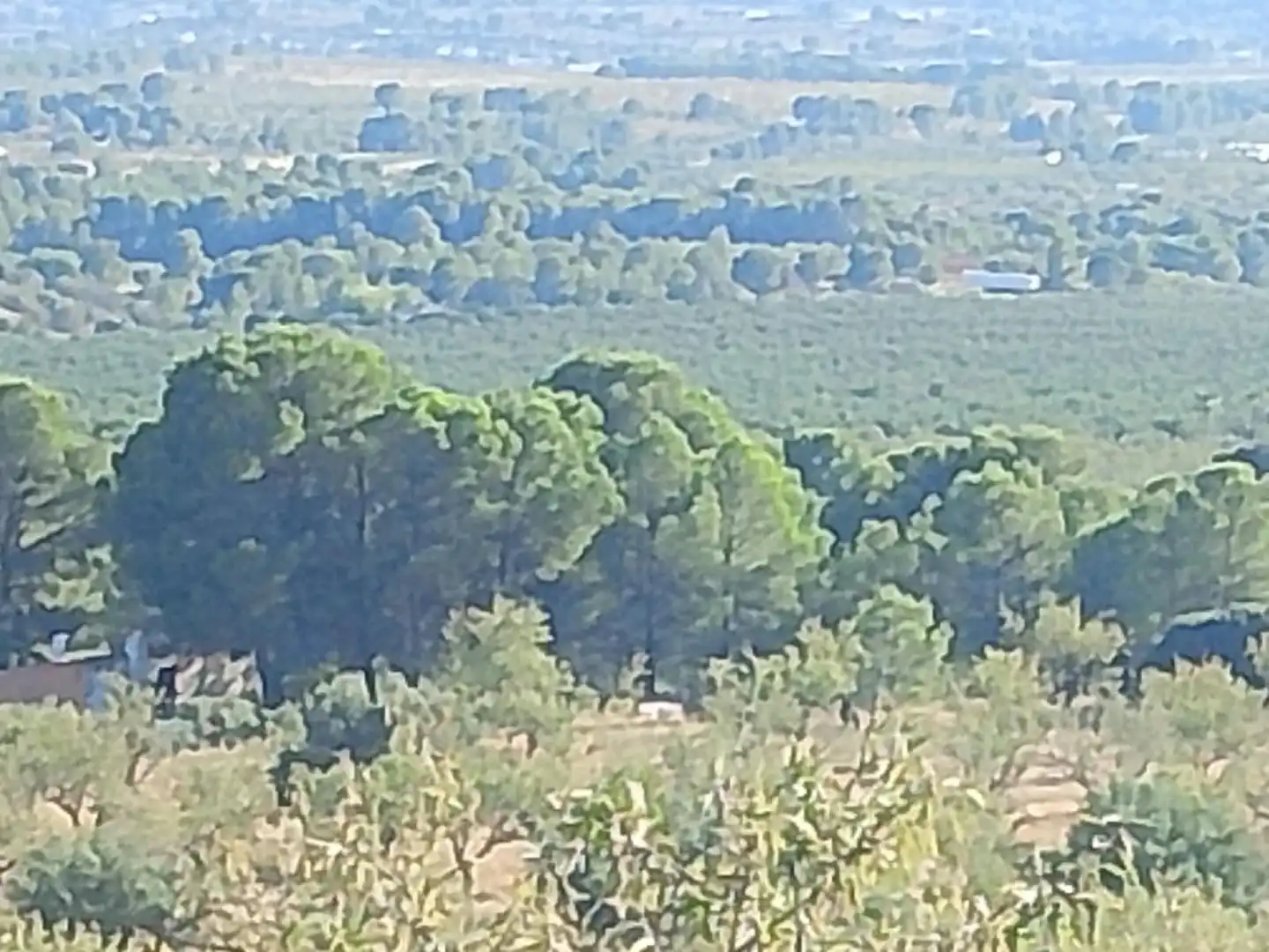 Terreny rústic en venda a N/A, imagen 91