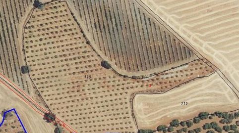Terreno en venta en Carmona, immagine 2