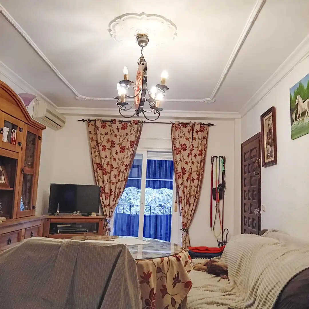Living room of Flat for sale in Marbella  with Air Conditioner, Terrace and Furnished
