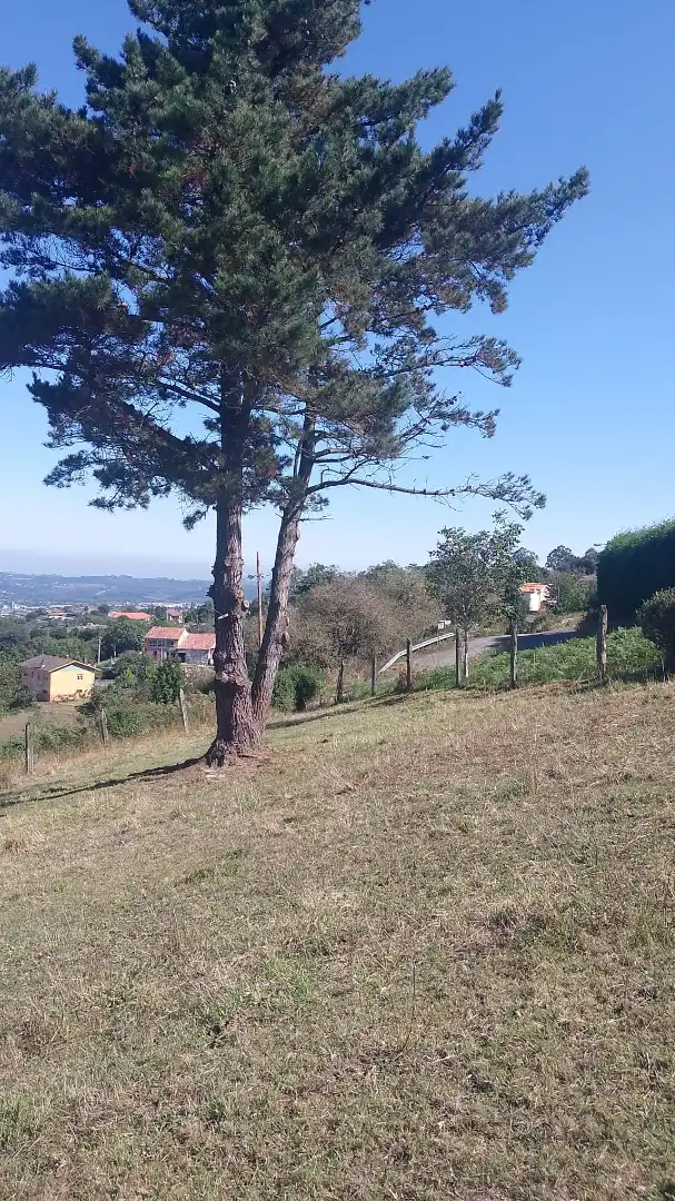 Terreny residencial en venda a Lugar Llovera 17A, imagen 11