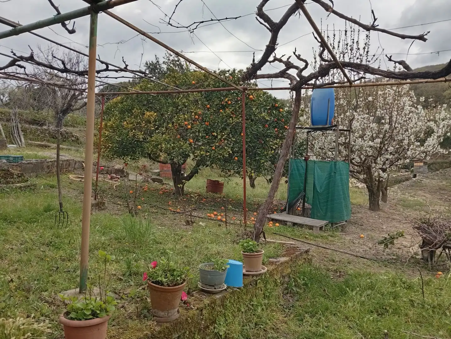 Terreni e lotti in vendita a Villanueva de la Vera, imagen 14
