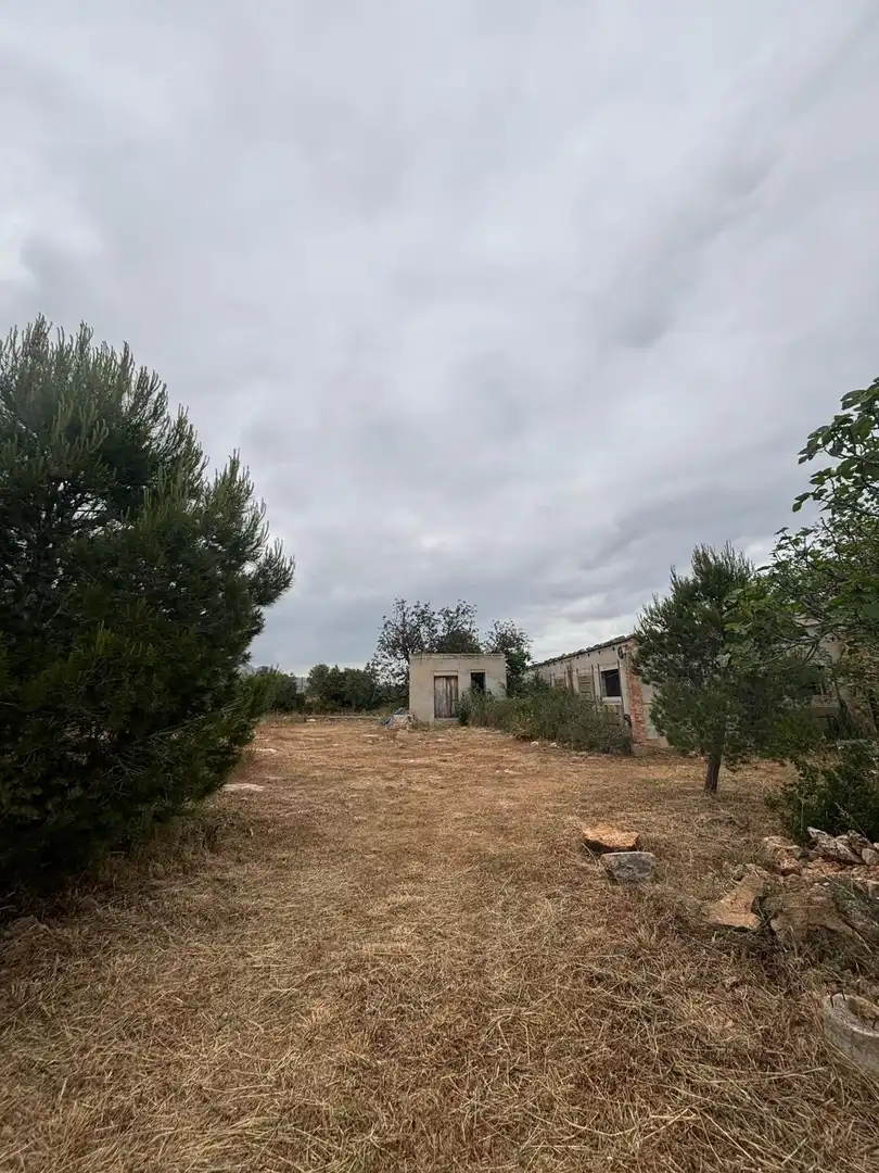 Locale commerciale in vendita a Xerta, imagen 17