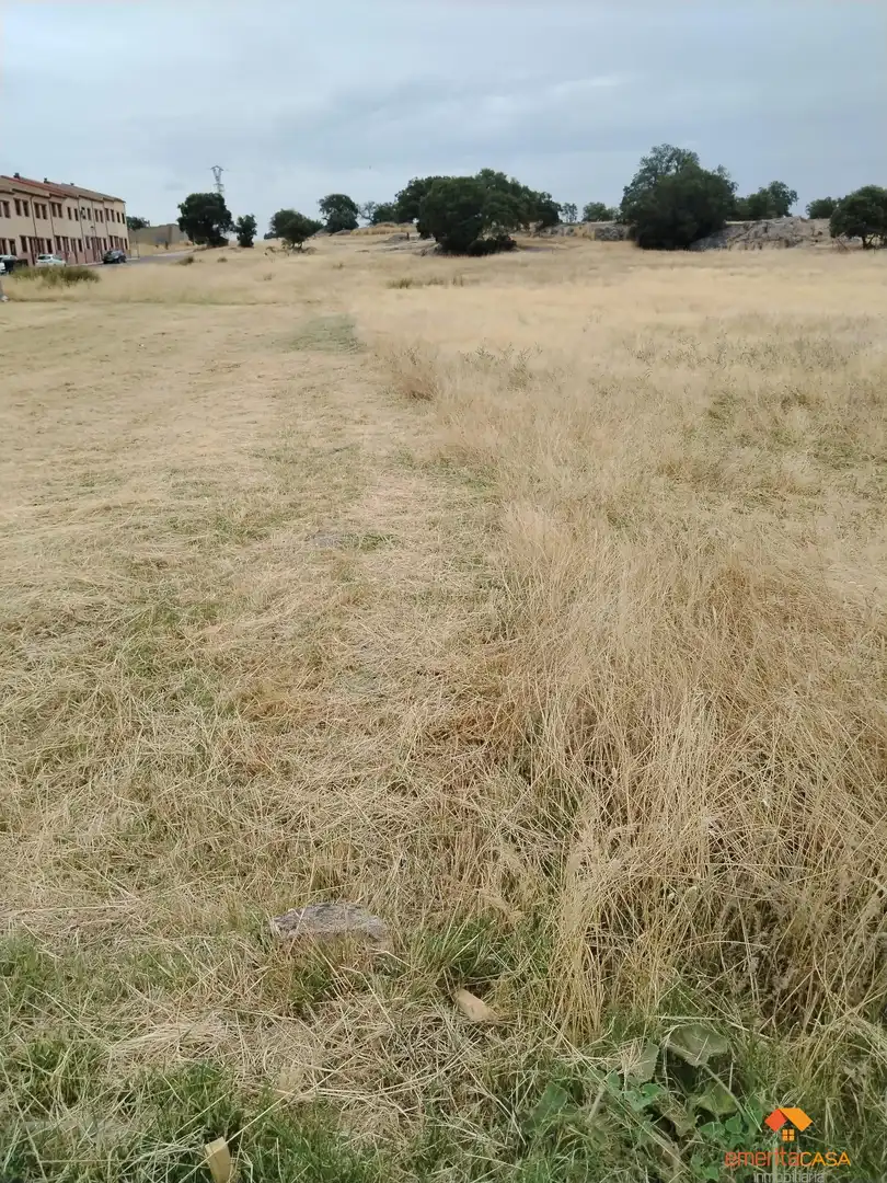 Terreni e lotti in vendita a Centro, imagen 2