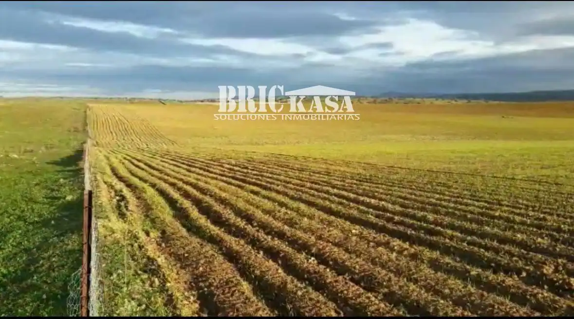 Terreno rustico in vendita a Villafranca de los Barros