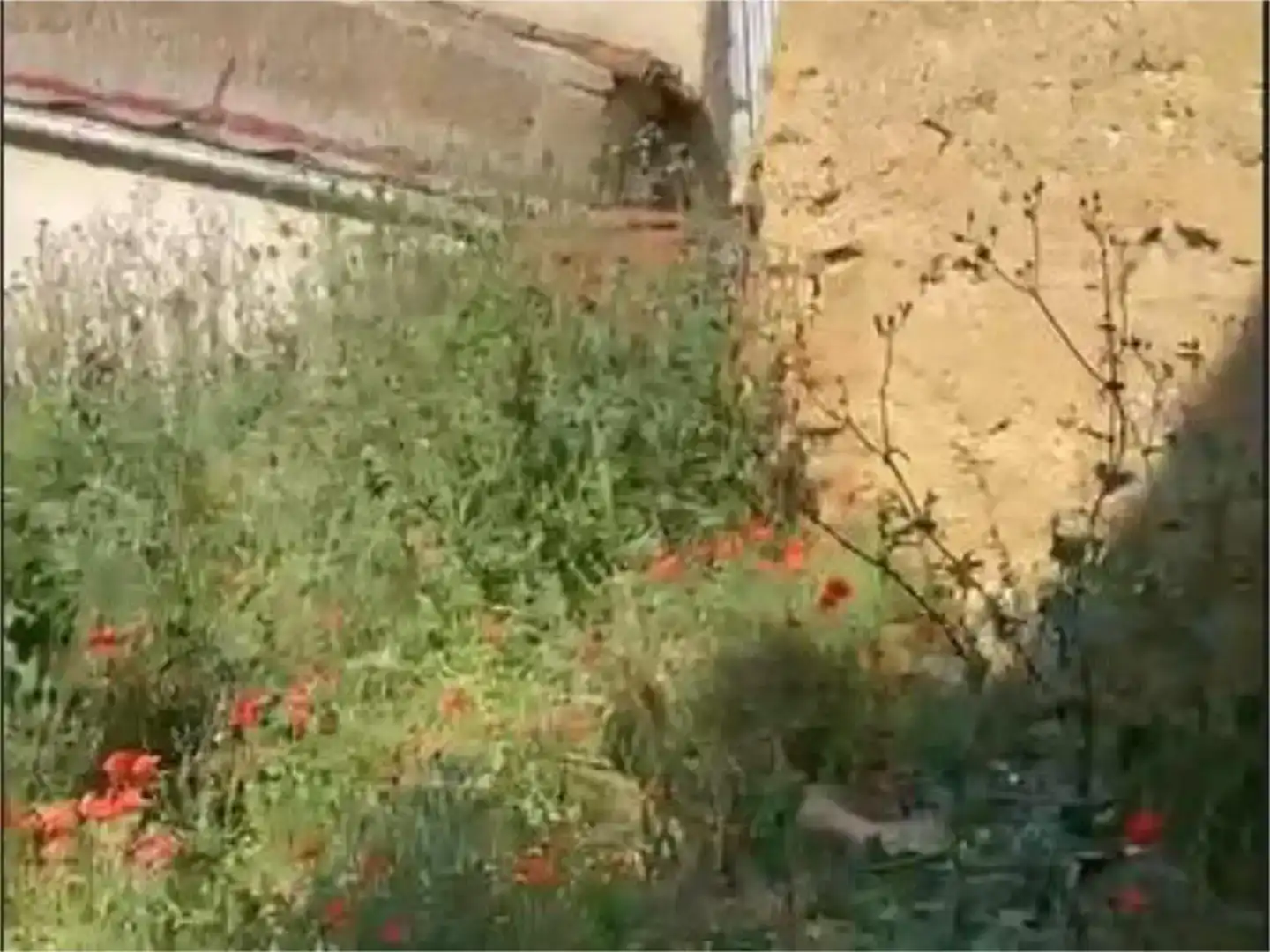 Piso en venta en Cañizo con Jardín privado y Trastero