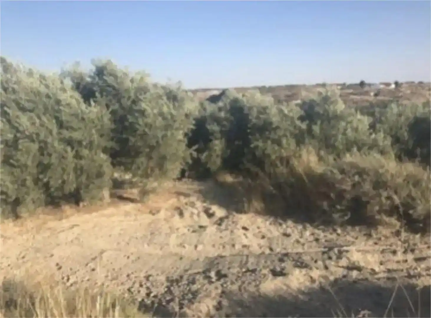 Finca rústica en venta en Benamaurel