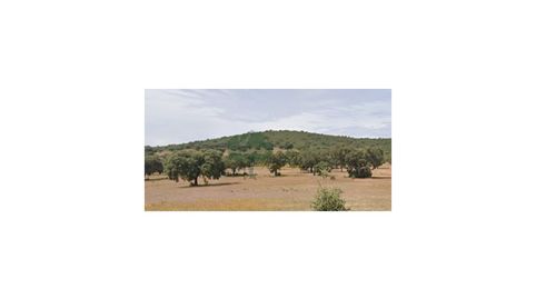 Foto 3 von Country house zum Verkauf in Avenida Extremadura, 20, Hornachos, Badajoz