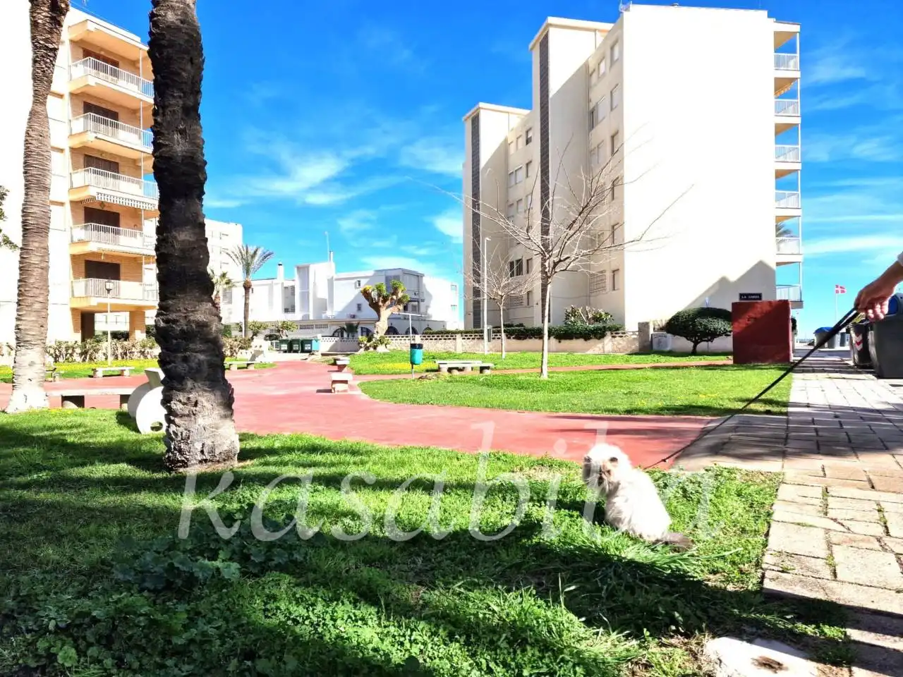 Exterior view of Flat for sale in Sueca  with Air Conditioner, Terrace and Community pool