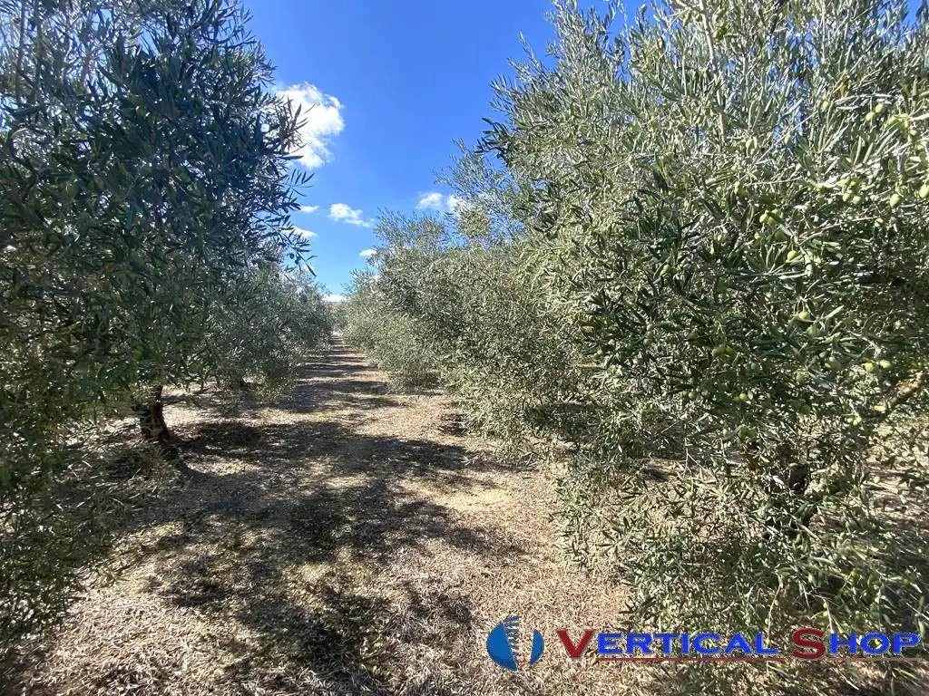 Casa o chalet en venta en Caudete con Aire acondicionado y Calefacción