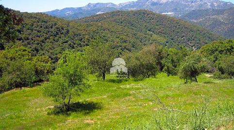 Foto 2 de Finca rústica en venda a Alpandeire, Málaga
