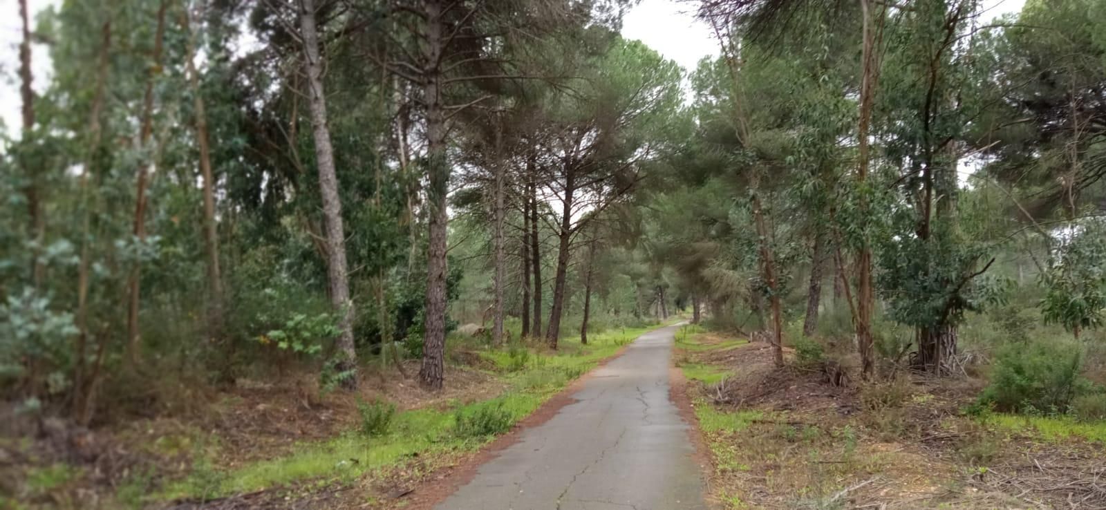 Country house for sale in Beas