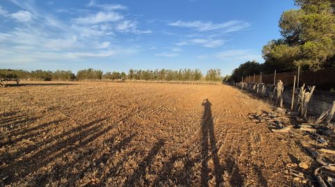 Foto 3 de Finca rústica en venta en Muro, Illes Balears