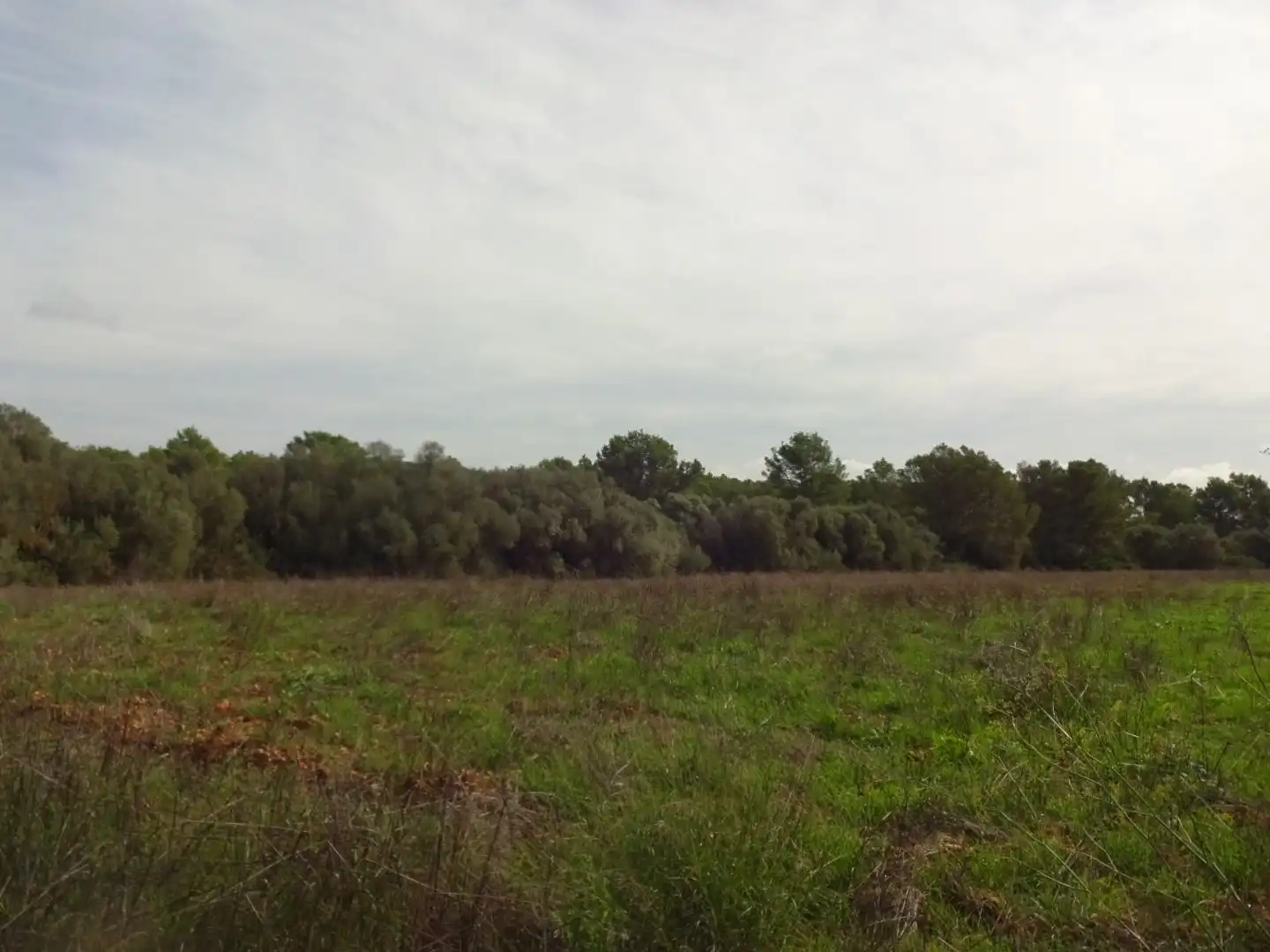 Finca rústica en venta en  Palma de Mallorca