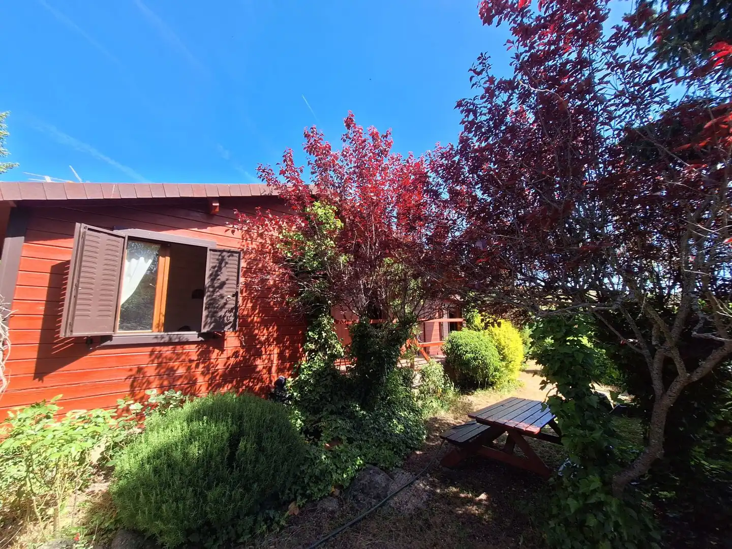 Garden of Houses for sale in Peguerinos