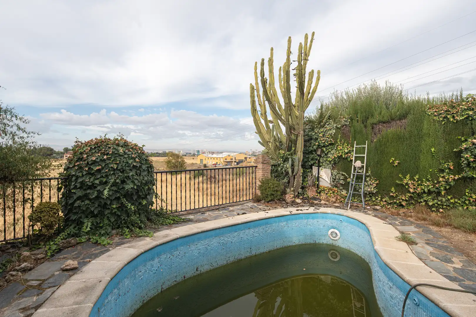 Swimming pool of Houses for sale in Genil