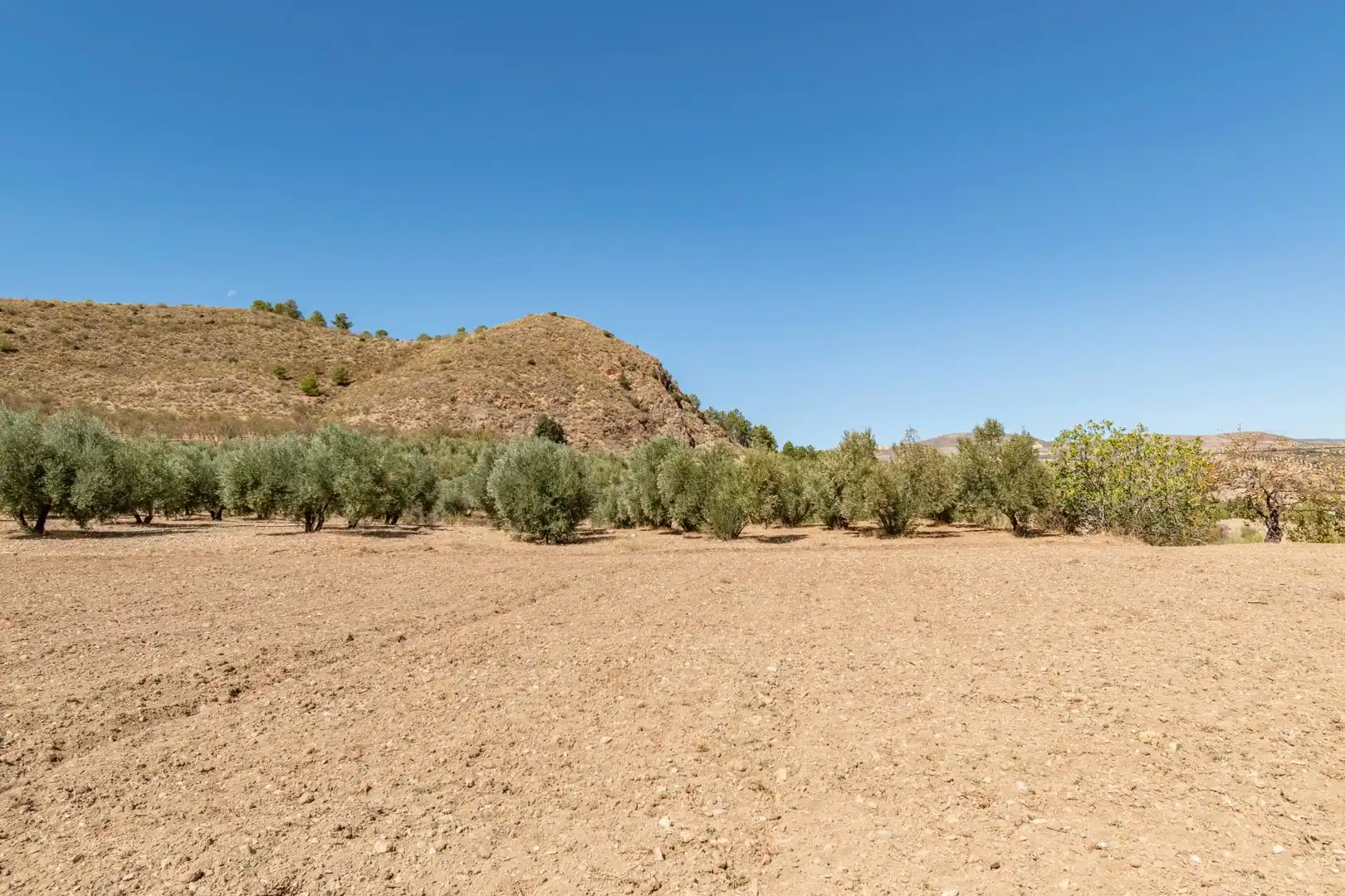 Finca rústica en venta en Vereda morollon, La Peza
