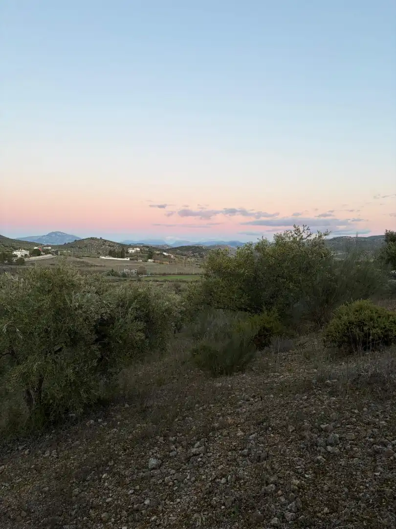 Terreny rústic en venda a Priego de Córdoba